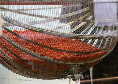 Próximas fechas de sorteos