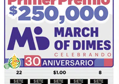 imagen del billete sorteo 366